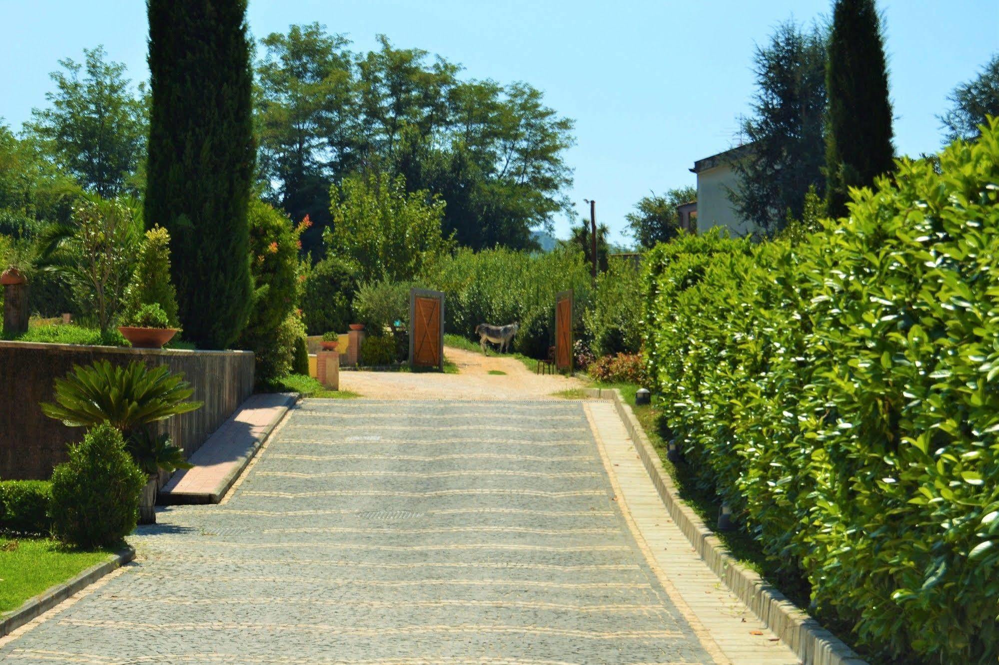 Agriturismo San Martino Pozzuoli Exterior photo